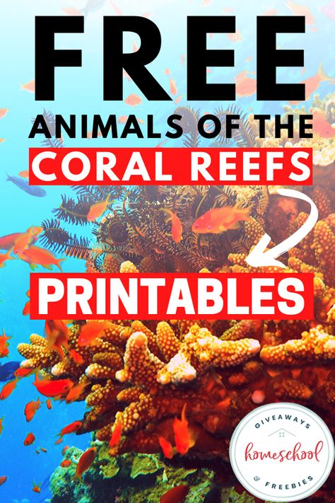 Are you learning about ocean habitats in science? Your children will enjoy  learning about coral reefs with these free animals of the coral reefs printables. Coral Reef Science Project, Coral Reef Preschool Activities, Coral Reef Unit Study, Coral Reef Images, Coral Reef Activities For Kids, Great Barrier Reef Crafts For Kids, Coral Reef Craft For Kids, Coral Reef Preschool, Coral Reef Activities