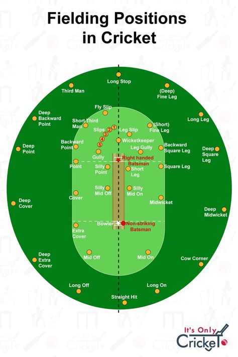 All fielding positions on the cricket field. Cricket Field, Birthday Greetings For Sister, Cricket Books, History Of Cricket, Cricket Coaching, Cricket Quotes, Cricket Poster, Athlete Quotes, Basic Physics