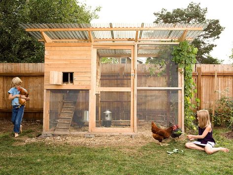 Detailed plans for a secure, stylish walk-in chicken coop and run. Easy to build and customize. Houses up to 8 standard-size chickens. Walk In Chicken Coop, Clean Chicken, Portable Chicken Coop, Diy Chicken Coop Plans, Urban Chickens, Chicken Tractor, Coop Design, Best Chicken Coop, Chicken Run