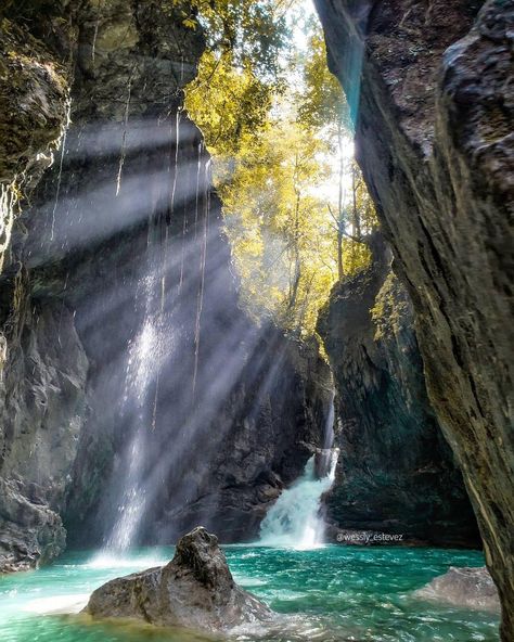 23 Beautiful Waterfalls in the Dominican Republic + How to Visit Dominican Republic Puerto Plata, Dominican Republic Vacation, Puerto Plata Dominican Republic, Grove Of Trees, Dominican Republic Travel, Birds Chirping, Natural Pool, The Dominican Republic, Republic Day