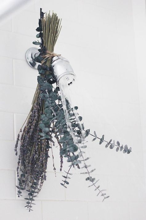 Shower Bundlecountryliving #lavender #lavanda #aromatherapy #aromabotanical #passionlavender Lavender Crafts, Easy Tricks, Spa Day At Home, Flavored Water, Humble Abode, Home Spa, Pvc Pipe, Unique Home, Lavender Essential Oil