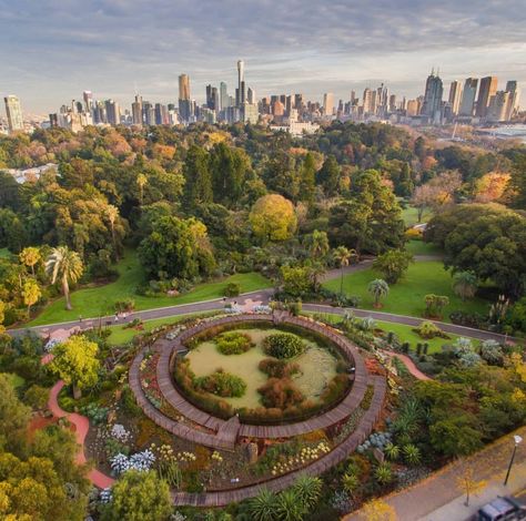 Melbourne Garden, Royal Botanic Gardens, Visit Melbourne, Spring City, Gladioli, Royal Park, Rain Protection, Picnic Spot, Royal Garden