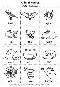 Animal Habitats Printables | ... set of cards for matching animals to their homes. Animal habitats Animal Habitats Kindergarten, Personal Worksheets, Habitats Preschool, Habitat Worksheet, Animal Habitats Preschool, Science Kindergarten, Animals And Their Homes, Animal Habitat, 1st Grade Science