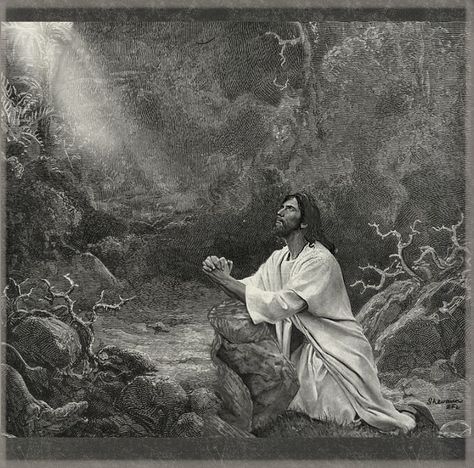 Jesus in the Garden of Gethsemane art Gustav Dore Christ Christianity art Maundy Holy Thursday Good friday Lent Easter Catholic digital print Garden Of Gethsemane Art, Gethsemane Art, Jesus In Gethsemane, Gustav Dore, Christianity Art, The Garden Of Gethsemane, Agony In The Garden, Holy Thursday, Sacred Garden