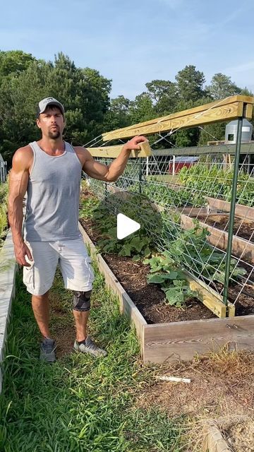 Salmon Creek Living on Instagram: "#cucumber #trellis #diy #homestead #cucumbertrellis #garden #cattlepaneltrellis" Vegetable Garden Trellis Ideas, Cucumber Garden Trellis, Cucumber Trellis Ideas, Cattle Panel Trellis, Cucumber Trellis Diy, Diy Trellis Ideas, Trellis Diy, Cucumber Gardening, Garden Hacks Diy