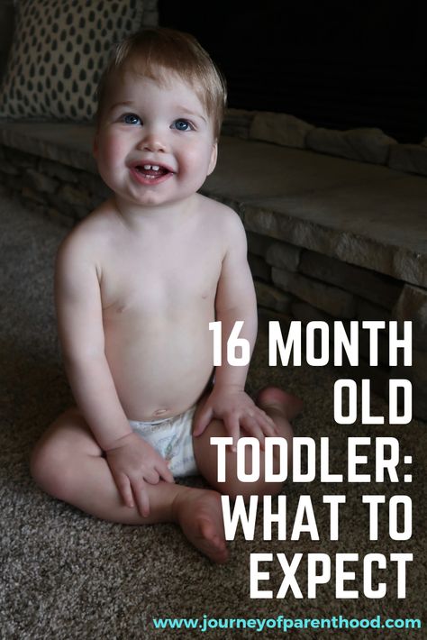 What to expect with a toddler at 16 months old including milestones and development. #toddlerdevelopment #toddlerlife 16 Month Old Development Milestones, 16 Months Old Activities, 16 Month Milestones, 16 Month Old Development, Activities For 16 Month Old, 16 Month Old Activities, Baby Milestone Chart, Milestone Chart, Toddler Milestones