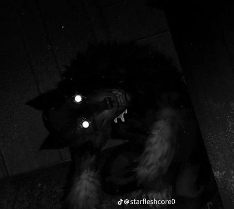 Creepy Animals, Werewolf Aesthetic, Shadow Wolf, 2560x1440 Wallpaper, Scary Dogs, Scary Animals, Creepy Images, Werewolf Art, Tiny Bunny