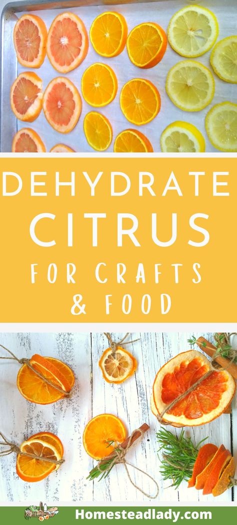 How to dehydrate citrus slices in the oven for crafts and food – it’s so easy with this step by step tutorial. We've also added an FAQ on how to use it from citrus salt to garland to citrus cleaner. Never waste extra citrus again! Dehydrate Citrus, Clove Oranges, Dehydrate Oranges, Dehydration Method (food), Citrus Cleaner, Citrus Slices, Fruit Scones, Citrus Soap, Blueberry Powder