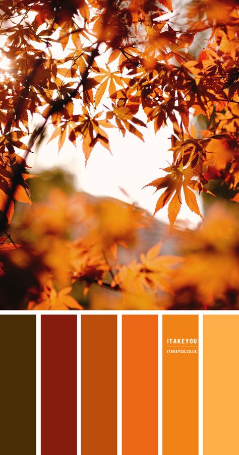 Lavender Hue – Color Palette #30 I Take You | Wedding Readings | Wedding Ideas | Wedding Dresses | Wedding Theme Autumn Colour Wedding Theme, Shades Of Autumn, Autumn Shades Colour Palettes, Fall Theme Colors, Autumn Leaves Colour Palette, Colours Of Autumn, Fall Color Dress, Autumn Palette Color, Fall Leaves Colors