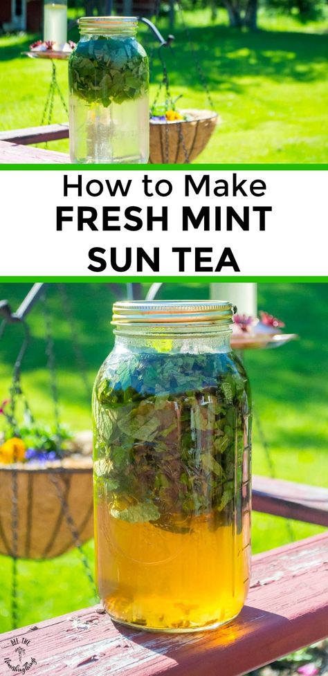 How to make fresh mint sun tea? It's such an easy and magical process, combining fresh-cut peppermint (any variety is fine), clean water, and pure sunshine. For a keto/low-carb mint sun tea, sweeten with stevia; otherwise, you can use raw honey or drink it plain. It's amazingly refreshing! #allthenourishingthings #peppermint #mint #suntea #gardening #offgrid #ketodrinks #herbs How To Make Mint Tea, Fresh Mint Iced Tea, Peppermint Recipes Fresh, How To Make Mint Tea With Fresh Mint, Fresh Spearmint Uses, How To Use Fresh Mint, Fresh Peppermint Recipes, Uses For Fresh Mint, Fresh Mint Uses