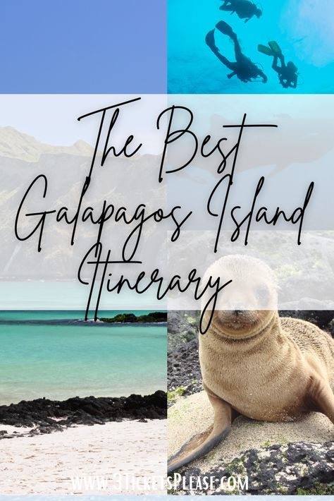 Traveling To Galapagos Islands, Galapos Islands, San Cristobal Galapagos, Galapagos Islands Travel, Trip List, Galapagos Island, Peru Trip, Travel Thoughts, Galapagos Ecuador