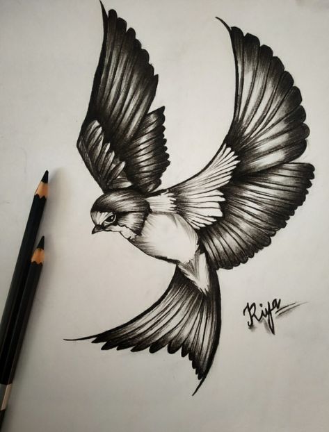 Sketch With Charcoal Pencil, Animal Shading Drawing, Pencil Shading Drawing Ideas, Bird Pencil Drawing Sketches, Charcoal Art Ideas Easy, Charcoal Pencil Art Easy, Animals Pencil Sketch, Birds Sketches Pencil, Bird Sketch Realistic