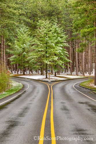 Fork In The Road, Creative School Project Ideas, The Road Not Taken, Yearbook Themes, Road Photography, Truck Design, Cover Pics, Beautiful Photography, Cool Words