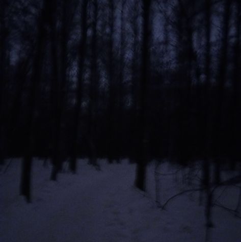 Dark Naturalism, Dark Forest Aesthetic, Snow Night, Creepy Core, Snow Forest, Forest Background, Dark Grunge, Snowy Forest, Night Forest