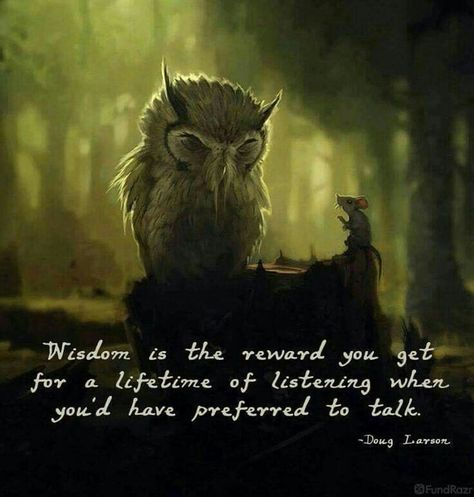 Owl Quotes, Owl Wisdom, Animal Spirit Guides, Knowledge And Wisdom, Wonderful Words, Quotable Quotes, Amazing Quotes, Wise Quotes, Image Quotes