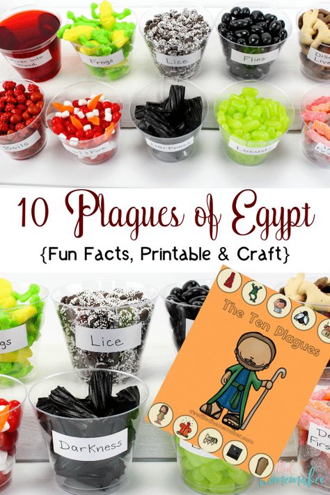 Fun Craft Activities for Teaching the 10 Plagues of Egypt - Homeschool Giveaways The 10 Plagues Of Egypt, 10 Plagues Of Egypt, Passover Crafts, Egypt Crafts, Plagues Of Egypt, 10 Plagues, Sunday School Crafts For Kids, Preschool Bible, Bible School Crafts