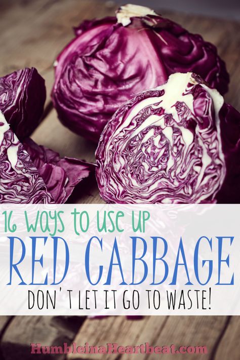 Leftover Ingredients: Red Cabbage | Feeding Our Flamingos How To Shred Cabbage, Purple Cabbage Recipes, Cooked Red Cabbage, Cabbage Recipes Healthy, Red Cabbage Recipes, Veggie Delight, Purple Cabbage, Cabbage Recipes, Red Cabbage