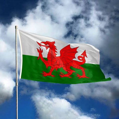 Designed for those with a beginner's level knowledge of Welsh, this is your next step to advance and improve your understanding and use of the language. Welsh Mythology, Flag Of Wales, Learn Welsh, Wales Flag, Centre Of Excellence, Cloud Background, Welsh Flag, Best Vegan Restaurants, National Symbols