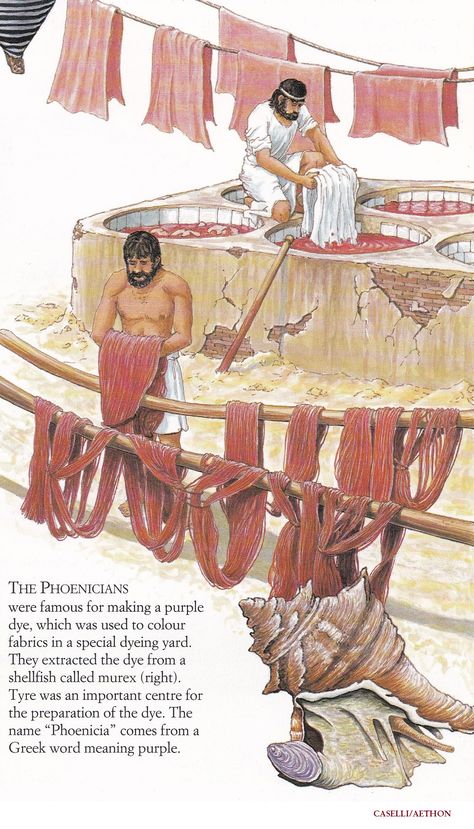 PHOENICIANS Making Their Purple Dye. 'Phoenicia thrived as a maritime trader and manufacturing center from c.1500-332 BC. ' - Joshua J. Mark (Giovanni Caselli/user: Aethon) Phoenician Civilization, Ancient Phoenicia, Ancient Egyptian Cities, Bronze Age Civilization, Purple Dye, Alien Concept Art, Carthage, Greek Art, Ancient Cultures