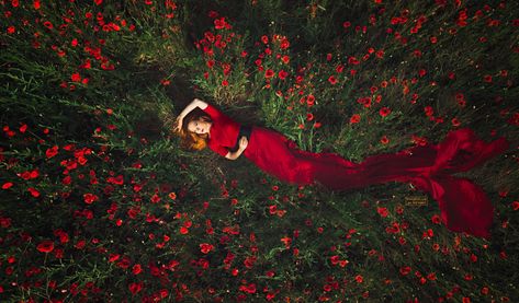 RED Sea - Neven Ivanov on Fstoppers Poppy Field Photoshoot, Photoshoot Red Dress, Poppies Photography, Oz Aesthetic, Poppy Photography, Ideas Photoshoot, Boho Maternity, Spring Maternity, Poppy Field