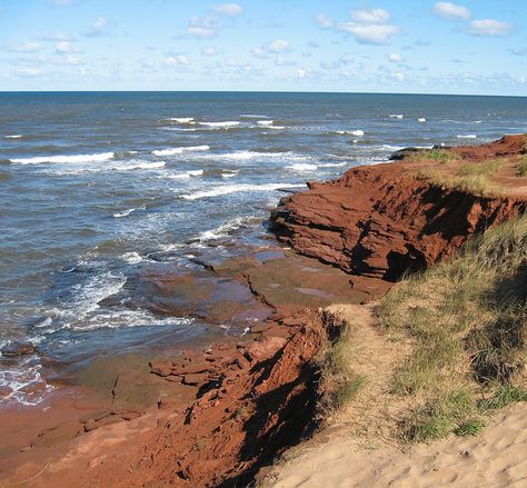 Price Edward Island, Canadian Countryside, Cavendish Pei, Cavendish Beach, Canada Cruise, Prince Edward Island Canada, Red Sandstone, Beautiful Canada, Eastern Canada