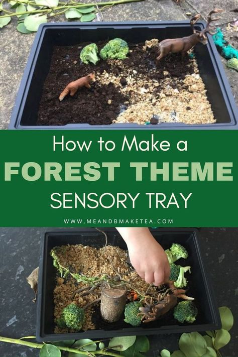 How to Make a Forest Theme Sensory Tray  -Easy to set up with minimal effort on your part! My son loved playing with this small forest themed sensory tray. Using just a seed tray, some oats and compost. Perfect for toddlers, preschoolers and even older children. Lots of ideas if you're self isolating with kids in lock down !   #sensory #lockdown #play #playideas #toddlers #preschool European Forest, Sensory Tray, Preschool Sensory, Forest School Activities, Small Forest, Foggy Forest, Real Moms, Forest Theme, Messy Play