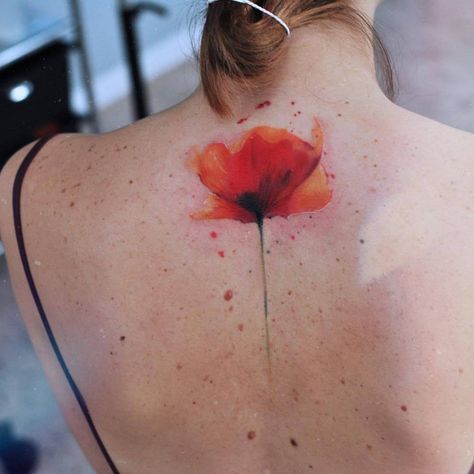 Watercolor Poppy Tattoo, Poppy Tattoos, Tattoo Spine, Flowers Poppy, Poppy Tattoo, P Tattoo, Upper Back Tattoos, Remembrance Tattoos, Watercolor Nature