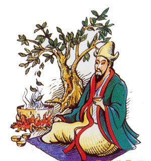 The Discovery of Tea: According to legend, tea was discovered by chance by Emperor Shennong in ancient China, when a tea leaf fell from a tree and floated down into a pot of boiling water! Water For Health, Chinese Emperor, Tea History, Davids Tea, East India Company, Chinese Mythology, Organic Green Tea, Tea Brands, Chinese Tea