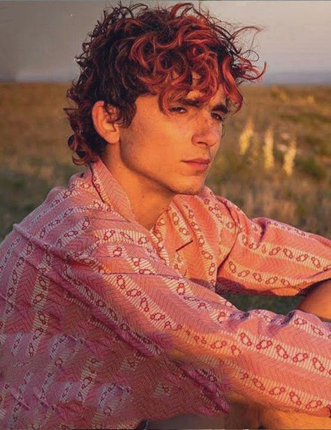 Bones And All, Timmy Time, Timmy T, The Perfect Guy, Timothee Chalamet, Film Serie, Pink Shirt, Celebrity Crush, Cortes De Pelo