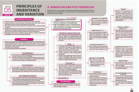 Principles of inheritance and variations (genetics 1) Principal Of Inheritance And Variation, Principal Of Inheritance And Variation Notes, Inheritance And Variation Notes, Principle Of Inheritance And Variation, Neet Notes, Moon Science, Organic Chemistry Study, Concept Maps, Learn Physics