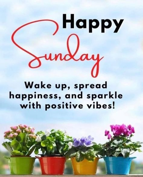 Good Morning Rainy Day, Wish App, Sunday Morning Quotes, Happy Sunday Morning, Sunday Greetings, Happy Sunday Quotes, Vibe Quote, Good Morning Beautiful Pictures, Sunday Quotes