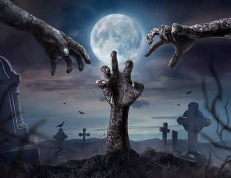 Zombie hands rising in dark halloween night. Premium Photo | Premium Photo #Freepik #photo #halloween #hand #hands #moon Full Moon Halloween, Scary Zombie, Moon Halloween, Halloween Backdrop, Zombie Hand, Dream Symbols, Studio Props, Vinyl Backdrops, Creepy Halloween