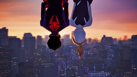 Gwen Costume, Spider Gwen Costume, Costume Spiderman, Miles And Gwen, Spiderman Man, Ipad Wallpaper, Spiderman, Ipad