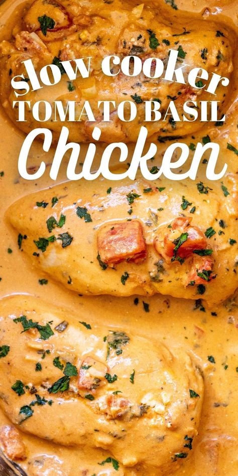 Frozen Chicken Breast Crockpot, Tomato Basil Chicken Recipe, Chicken Basil Recipes, Frozen Chicken Crockpot, Chicken Breast Recipes Slow Cooker, Chicken Breast Slow Cooker, Chicken Boneless Breast Recipes, Tomato Basil Chicken, Chicken Breast Crockpot Recipes