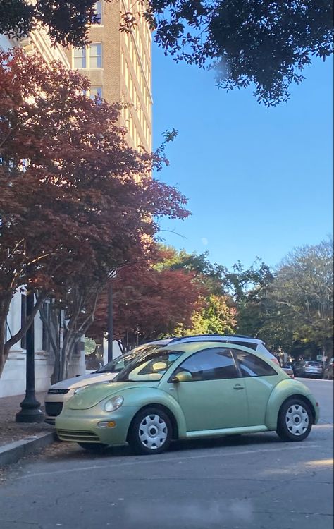 2010 Vw Beetle, Green Volkswagen Beetle, Volkswagen Beetle Interior, Pink Volkswagen Beetle, Beetle Interior, Green Beetle, Volkswagen Beetle Convertible, Bug Car, Volkswagen New Beetle