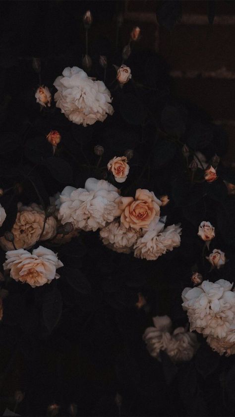 Phone Wallpapers Vintage, L Wallpaper, Dark Flowers, Flower Phone Wallpaper, Aesthetic Pastel Wallpaper, Tumblr Wallpaper, Iphone Background Wallpaper, Pastel Wallpaper, Wallpapers Vintage