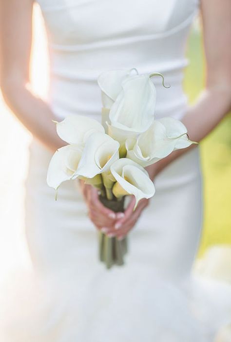 White Calla Lilies, Blush Wedding Colors, Simple Wedding Bouquets, Wedding Flower Design, Blush Wedding Flowers, Bridal Bouquet Flowers, Elegant Bouquet, All White Wedding, Winter Wedding Flowers