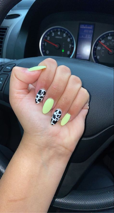 Yellow And Cow Print Nails, Neon Cow Print Nails, Cow Print Nails Green, Green And Cow Print Nails, Neon Green Cow Print Nails, Yellow Neon Nails, Colourful Cow Print Nails, Acrylic Nails Neon, Neon Yellow Acrylic Nails