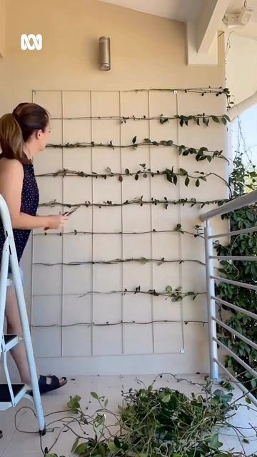 Gardening Australia on Instagram: "How about this DIY weekend project from @olive_oyls 🤓 “I took the chance to see if I could get my star jasmine to grow up two storeys onto my balcony wall from the ground level. It only took 9 months to form and the scent from the blooms is magic” ✨ #ABCMyGarden #StarJasmine" Jasmine Balcony, Gardening Australia, Balcony Wall, Coastal House, Star Jasmine, Port Macquarie, My Star, Ground Level, Weekend Projects