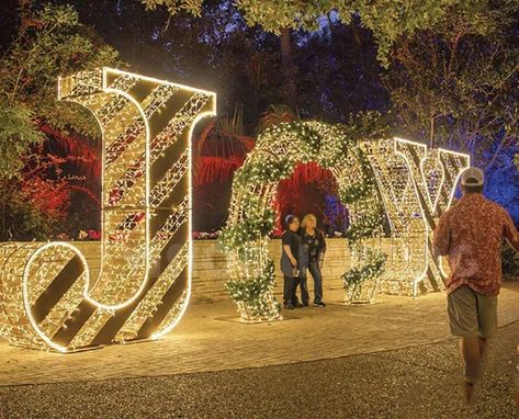 Outdoor Decorative Large Festival Lighting Large Outdoor Christmas Decorations, Christmas Venue, Outdoor Christmas Light Displays, Festival Lighting, Best Outdoor Christmas Decorations, Christmas Pathway Lights, Christmas Lights Outside, Christmas Garden Decorations, Christmas Light Show