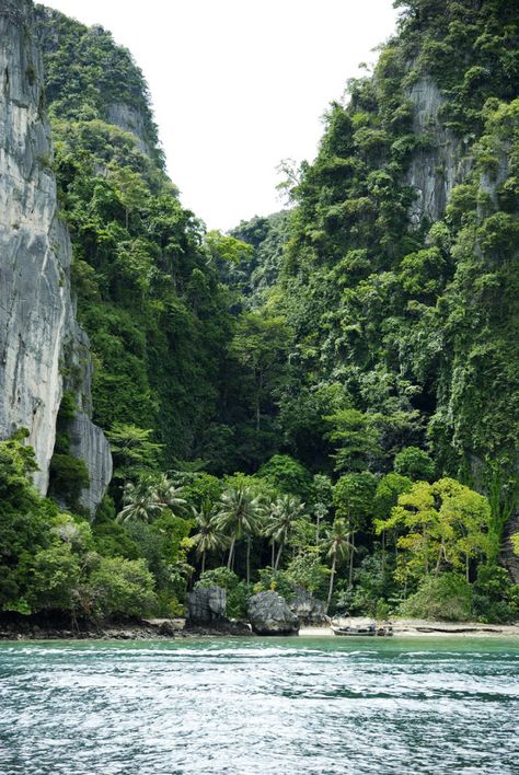 THE DEAD GAME Phi Phi Thailand, Roatan, Halong Bay, Alam Yang Indah, Green Trees, Mongolia, Pretty Places, Beautiful Islands, Phuket