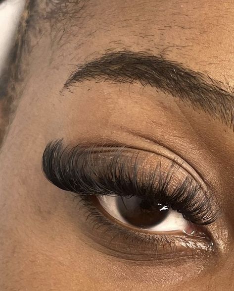 Pretty Lashes Natural, Natural Lash Extensions Black Women, Pretty Lash Extensions, Light Volume Lash Extensions, Cat Eye Lash Extensions, Lash Removal, Lash Inspiration, Mesmerizing Eyes, Natural Fake Eyelashes