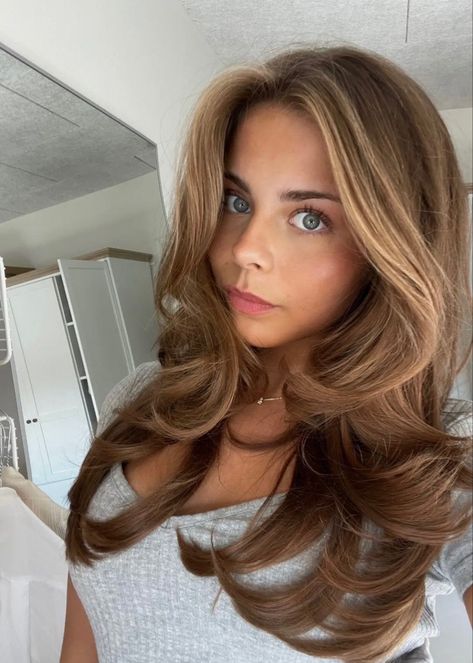 Light Brown With Caramel Highlights Honey, Light Auburn Brunette Hair, Light Brown Hair Chestnut, Honey Blonde Hair Blue Eyes, Sammy Robinson Hair Brown, Carmel Brown With Honey Highlights, Amber Brown Hair With Highlights, Teddy Brunette, Light Chocolate Brown Hair Color Caramel