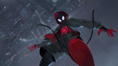 Miles Morales PFP Free Desktop Wallpaper Spiderman Upside Down, Spiderman Miles, Gif Terror, 2k Wallpaper, Miles Morales Spiderman, Across The Spider Verse, Spiderman Spider, Free Desktop Wallpaper, Verses Wallpaper