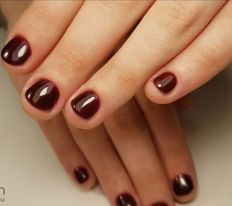 Painted Bitten Nails, Super Short Nails, Really Short Nails, Vampire Nails, Wine Nails, Short Gel Nails, Subtle Nails, Blush Nails, Nails Only