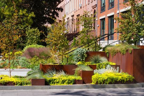 Carroll Street MTA Plaza | Future Green Studio | Archinect Simple Landscape Design, Landscape Slope, Terraced Gardens, Green Studio, Yard Landscaping Simple, Modern Landscape Design, Steel Planters, Landscape Edging, Low Maintenance Landscaping