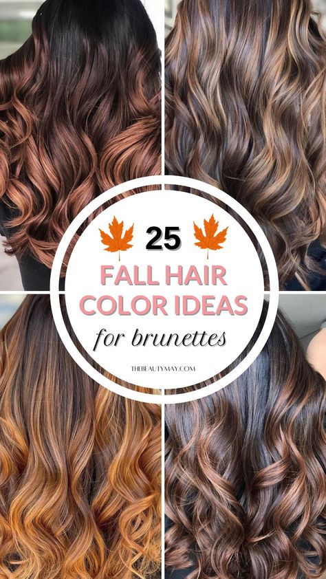 25 Fall Hair Color Ideas for Brunettes: Seasonal Shades to Transform Your Look Fall Brunette Hair Color With Highlights, 2024 Fall Hair Colors For Brunettes, Fall Hair Color For Curly Brunettes, Fall Hair Colors For Brown Hair, Hair Color For Brunettes 2024, Light Brown Fall Hair Color, Hair Color For Brunettes With Gray, Different Balayage Colors, Balayage Touch Up