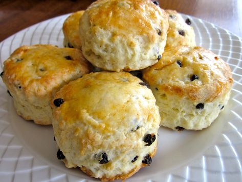 Scones Sour Cream, Scone Recipe With Sour Cream, Recipe Using Sour Cream, Recipes Using Sour Cream, Sour Cream Scones, Currant Scones, Cream Scones Recipe, Recipe With Sour Cream, Blueberry Scones Recipe