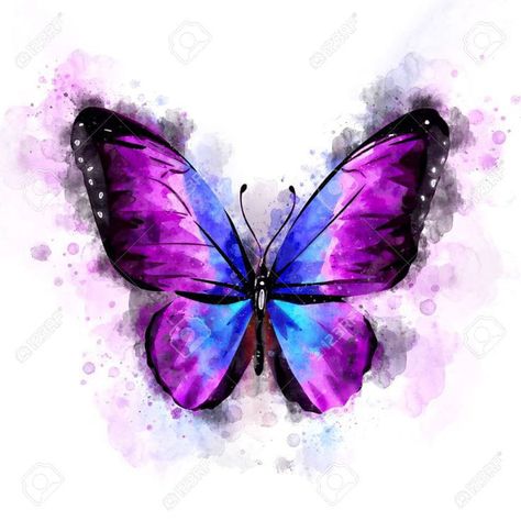 Purple Butterfly Tattoo, Borboleta Tattoo, Acrylic Photo Prints, Butterfly Art Painting, Butterfly Illustration, Watercolor Projects, Butterfly Drawing, Watercolor Images, Butterfly Painting