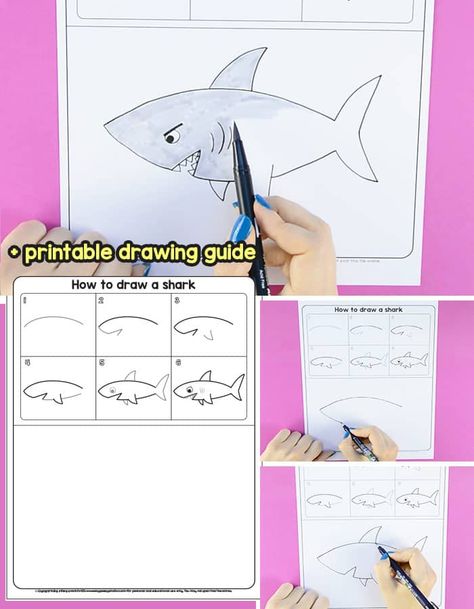 Learn How to Draw a Shark How To Draw House, Draw A Shark, Summer Kindergarten, Sharks For Kids, Ocean Activities, Draw Animals, Cheer Team, Ocean Theme, Shark Week